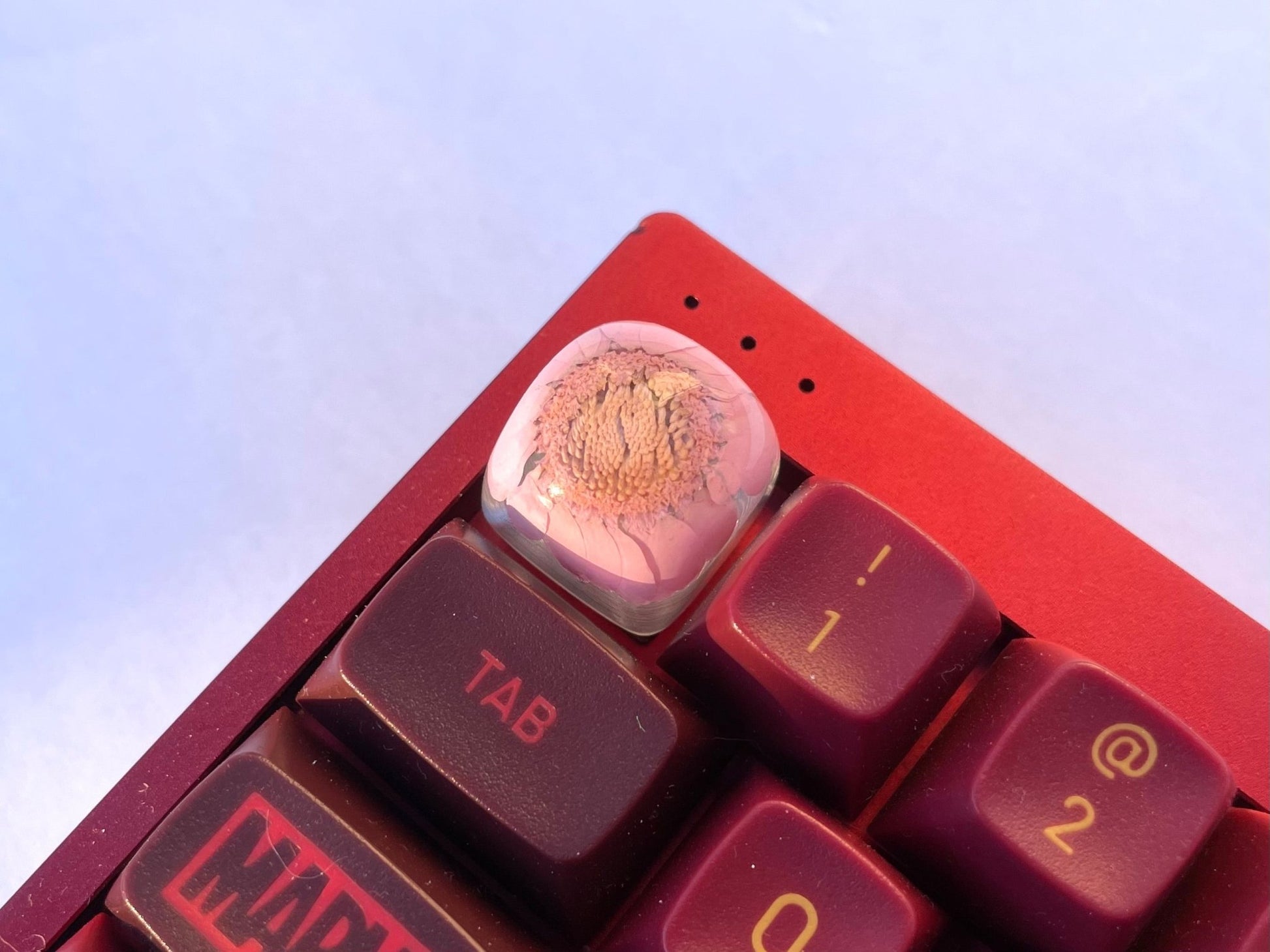 Pink Resin Pressed Flower Keycap - DOM Profile - Kayden's Keycaps